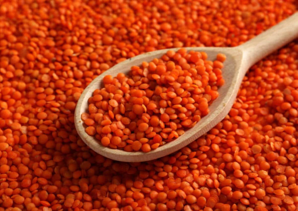 Gaziantep Ticaret Borsası: Kırmızı kabuklu mercimek, buğday fiyatı ne kadar?