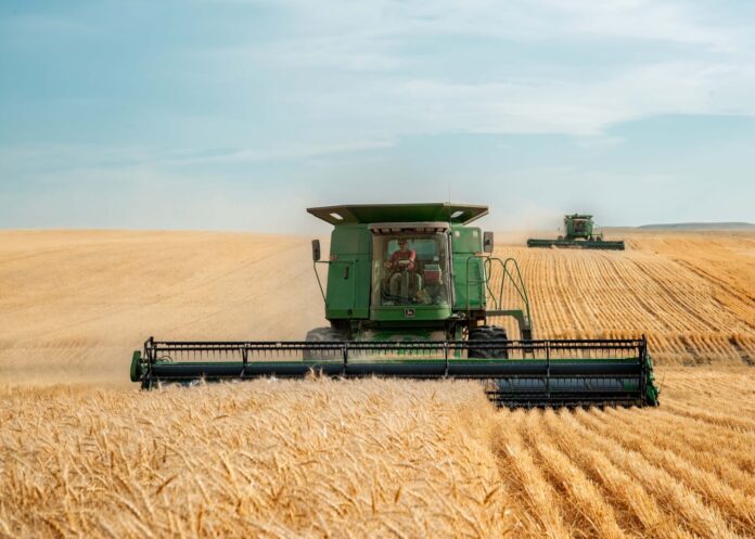 Antep borsası: Buğday, arpa ve mısır ile ekmeklik buğday fiyatları